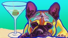 14x8 french bulldog for sale  Broomfield