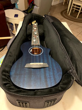 Enya concert blue for sale  Naples