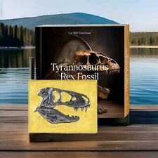 2023 chad 5000 for sale 2023 chad 5000 for sale  CARDIFF