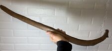 wooly mammoth tusk for sale wooly mammoth tusk for sale Glenwood
