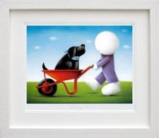 Daisy trail doug for sale  STAFFORD