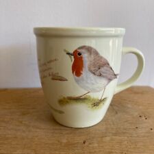 Wildbird foods robin for sale  BRISTOL