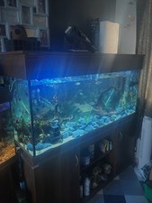 Clear seal 5ft for sale  NOTTINGHAM