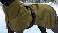 Hundemantel wettermantel regen gebraucht kaufen  Roth