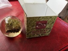 Wembley stadium grass for sale  HIGH WYCOMBE