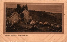 Postiglione salvatore lungo usato  Stella