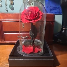Cúpula Vintage Rosa em Vidro Eternal Enchanted Forever - Infinito Perservido comprar usado  Enviando para Brazil
