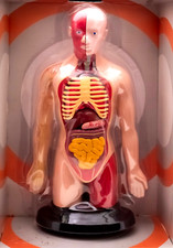 Human science male for sale  UK