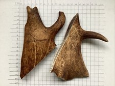 Antler dog chew. for sale  BOGNOR REGIS