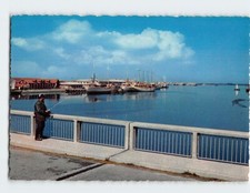 Postcard cold fishing for sale  Stevens Point