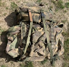 short back bergen for sale short back bergen for sale FAREHAM