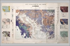 Carte tapis végétal d'occasion  Salies-de-Béarn
