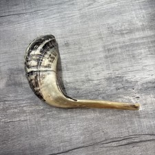 Kosher polished ram for sale  Girard