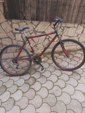 Bici mtb girardengo usato  Italia