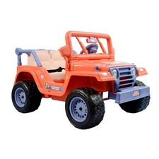 Bluey 12v wheeler for sale  Rogers