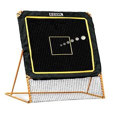 Ezgoal professional folding for sale  USA