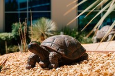 Brown black concrete for sale  Temecula
