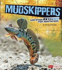 Mudskippers extreme fish for sale  UK