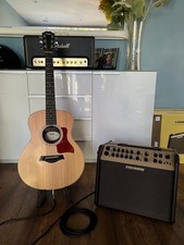 Taylor mini fishman for sale  MAIDSTONE