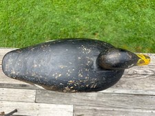 Antique scoter decoy for sale  Baldwin