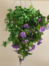 Schöner hängekorb blumen gebraucht kaufen Schöner hängekorb blumen gebraucht kaufen  Mittenaar