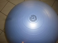 Gymnastikball 150 kg gebraucht kaufen  Tönisvorst