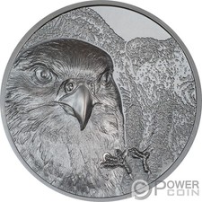 Falcon wild mongolia usato  Ciampino