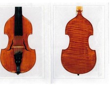 viola d amore usato viola d amore usato Foggia