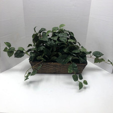 Nearly natural pothos for sale  Terre Haute