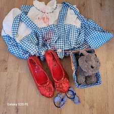 Dorothy wizard costume for sale  PONTEFRACT