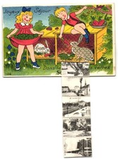 Leporello cpa sinn gebraucht kaufen  Berlin