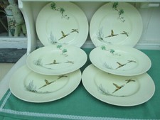 Royal doulton coppice for sale  LAUNCESTON