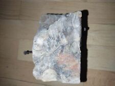 Schwemmholz treibholz schöner gebraucht kaufen  Duisburg