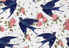Swallow bird flying for sale  SELBY