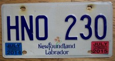 Single newfoundland labrador for sale  Plattsmouth