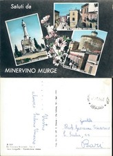Minervino murge immortalata usato  Italia