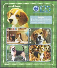Grenada 2009 beagle usato  Italia