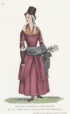 Welsh girl costume for sale  BRISTOL