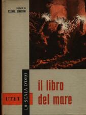 Scala oro libro usato  Italia