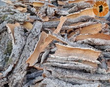 Sughero sardegna corteccia usato  Bitti