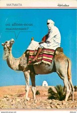 Animaux camélidés tunisie d'occasion  Fruges