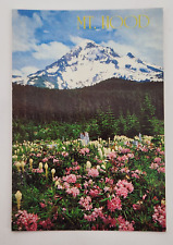 Postcard mount hood for sale  Corvallis