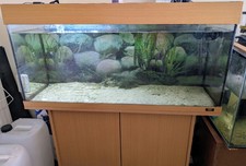 Juwel 300l fish for sale  SHEERNESS