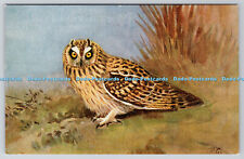 R763265 Shorteared Bird Ruskin Studio R S Series comprar usado  Enviando para Brazil