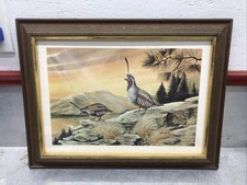 Vintage quail picture for sale  Ash