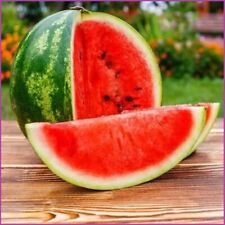 Türkische wassermelone adana gebraucht kaufen  Willich
