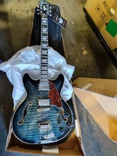 Electric guitar hollow for sale  Riverside