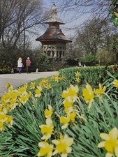 Alexandra park oldham for sale  DUNDEE