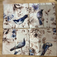 Beautiful bird flower for sale  Cedartown