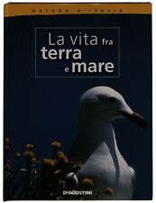 Ebond vita fra usato  Marino